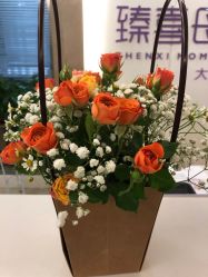 -大美臻喜母婴(重庆创始店)