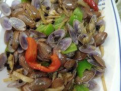 花甲螺-渔乡海鲜美食