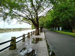 -大湾区中央湿地公园