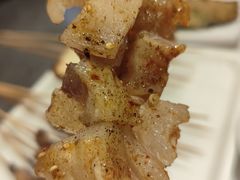 -金刚山烧烤(红旗大街店)