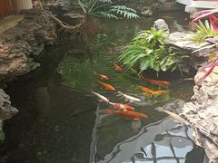 -广州白天鹅宾馆