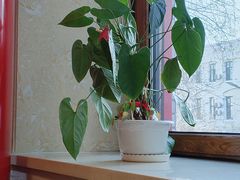 -老都一处饺子馆(道里店)