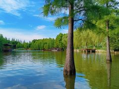 -上海长兴岛郊野公园