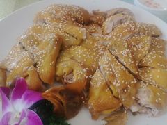 -金茂园大酒店