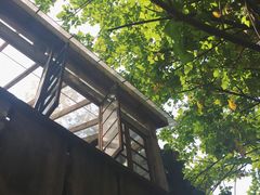 -懒鱼时光馆(沙坪坝店)