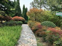 -白塘生态植物园