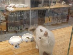 -狗道宠物(常熟印象城店)