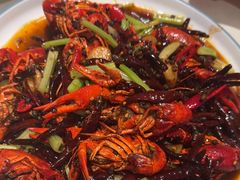 -杨氏青龙虾·羊蝎子(金盛路总店)