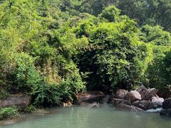 -广州白江湖森林公园