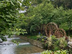 -广州白江湖森林公园