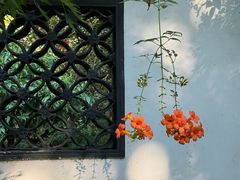 -绮园景区