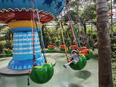 -南宫五洲植物乐园