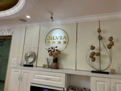 -茜尔维亚修身连锁(闵行莘庄店)