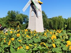 -祥源·阜阳生态乐园