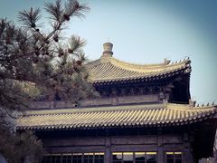 -嵩祝寺及智珠寺