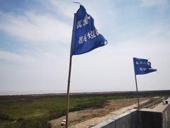 -南汇嘴观海公园