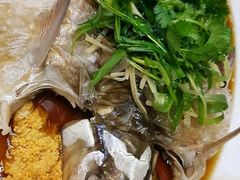 忘不了-伍月花酒楼