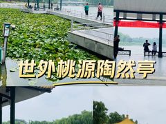 -陶然亭公园