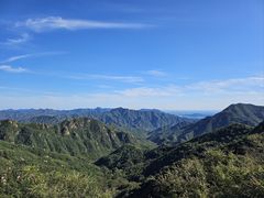 -大岭沟猕猴桃谷风景区
