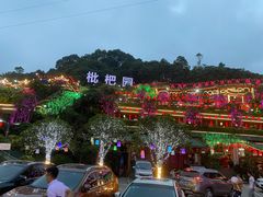 -枇杷园食为鲜火锅(南山店)