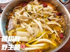 -菌极鲜野生菌火锅店(阳明祠店)