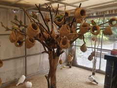 -珠海海泉湾神秘岛亲子乐园