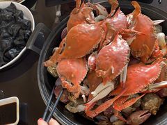 -大锅强·蒸海鲜青岛菜(吾悦广场店)