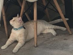 -小时光咖啡馆(北锣鼓巷店)