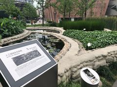 -活水公园