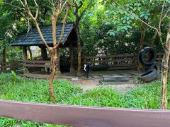 -广州锦绣香江度假别墅