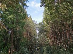 -同里国家湿地公园