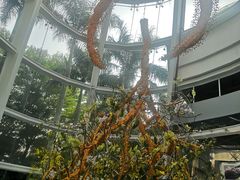 -深圳国际园林花卉博览园