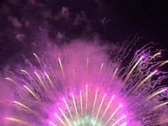 -南宁花花大世界景区
