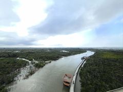 -东寨港红树林旅游区