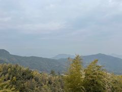 -莫干山风景区