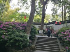 -杭州黄龙洞
