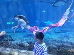 -华夏文旅海洋公园