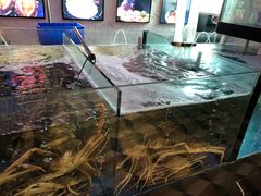 -蟹之国·精品蟹料理(极地店)