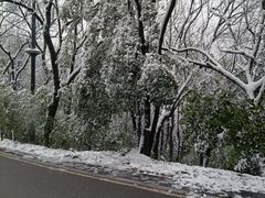 -岳麓山风景名胜区