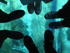 -暹罗海洋世界
