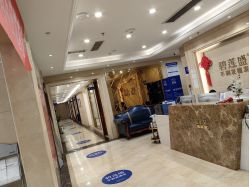 -碧莲盛·不剃发植发