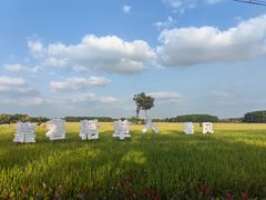 -嘉北郊野公园