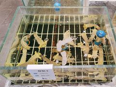 -江南府第·萧山宴(钱江世纪城店)