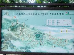 -北京鹫峰国家森林公园