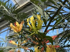 -国家植物园南园