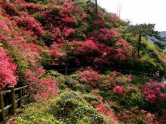 -木兰云雾山