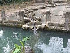-成都市活水公园