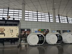 -郑州新郑国际机场-T2航站楼