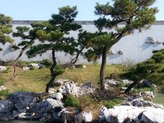 -盆景园(扬州大运河文化旅游度假区)