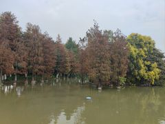 -海珠湖公园